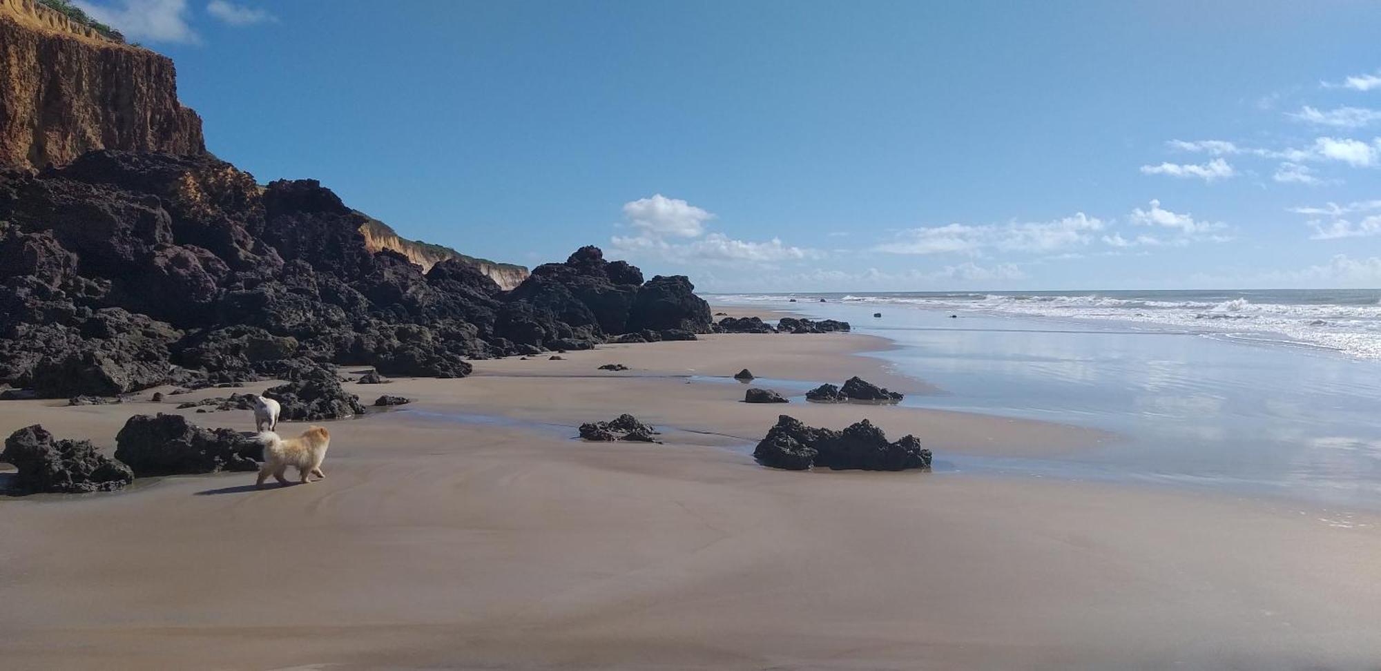 Casa Na Praia Com Piscina Costa Dourada Rom bilde